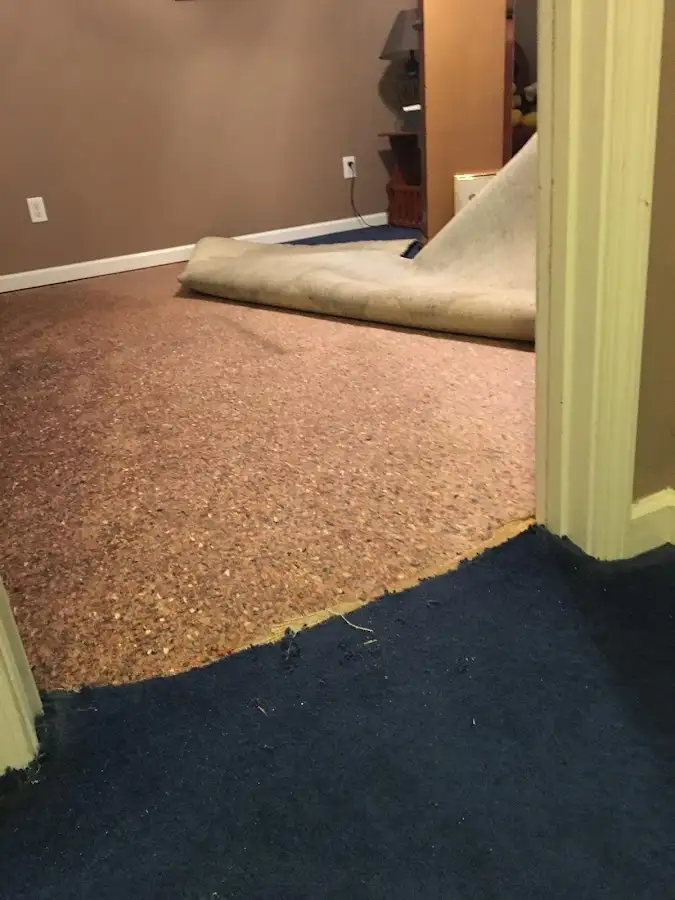 Carpet pad removal revealing water damage during Drying & Dehumidification in Cold Spring