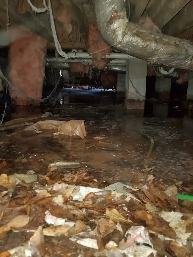 Crawl space flood assessment for Commercial Water Damage Restoration in Cold Spring