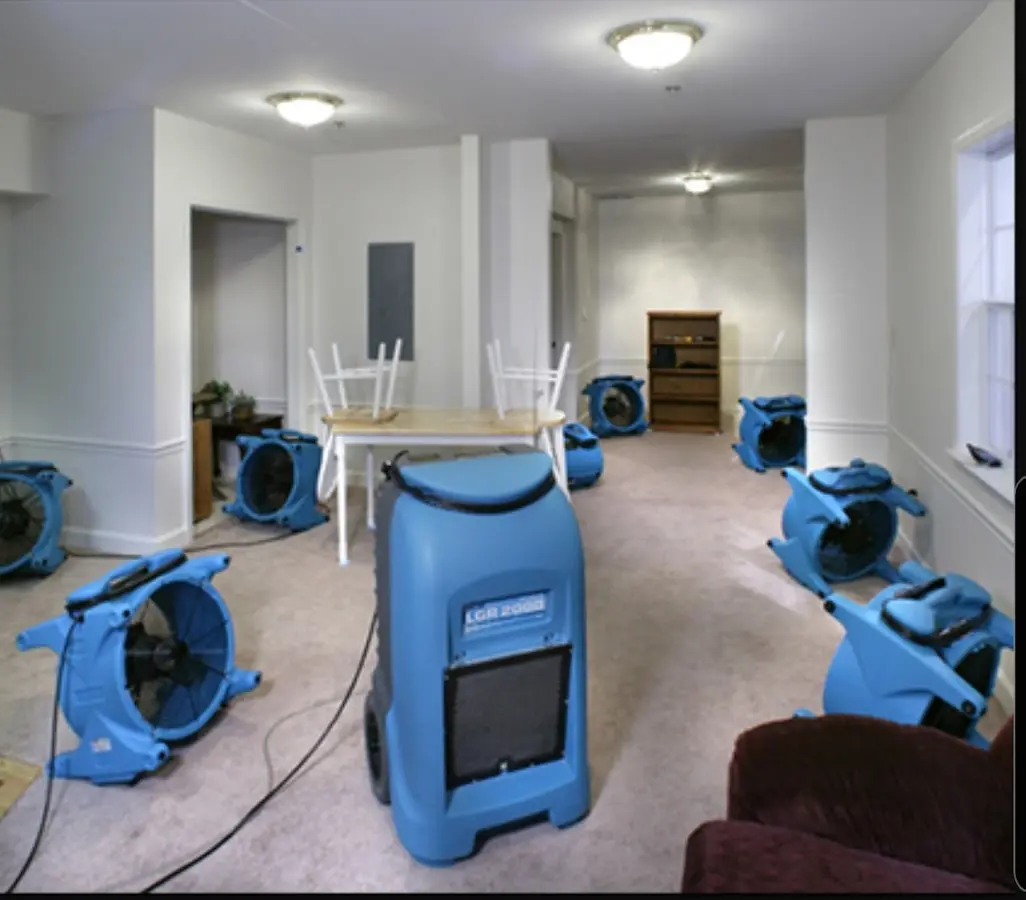 Air movers and dehumidifier setup for Water Extraction & Removal in Cold Spring