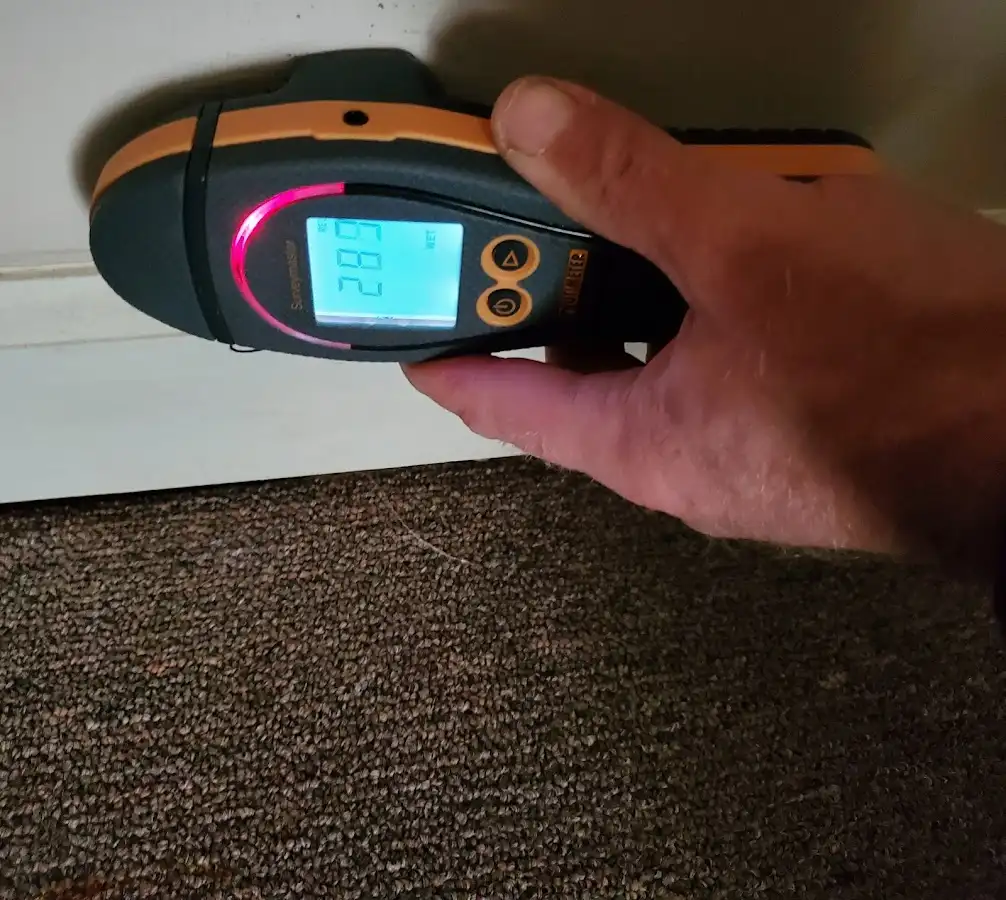 Moisture detection at baseboard during Sewage Cleanup & Sanitation in Cold Spring